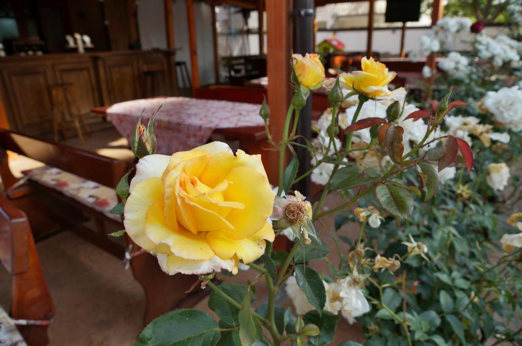 Hotel Ryor